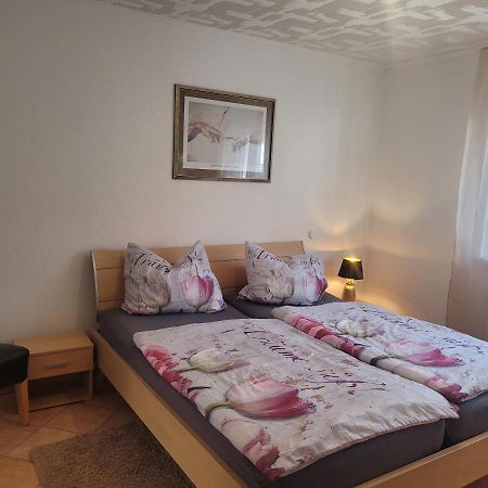 Ferienwohnung Jasmin In Schoenau Bei Heidelberg Fewo 2 Schönau im Schwarzwald Extérieur photo
